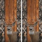 Deer/Buck #1 Cornhole Board Set