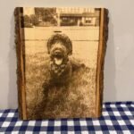 Laser Engraved Pet Portrait