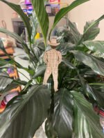 Peeing "Cowboy Willy" Silly Decorative Plant Stake